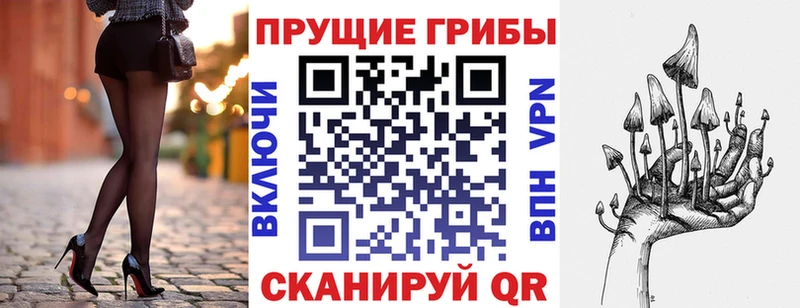 ссылка на мегу как войти  Азов  Псилоцибиновые грибы MAGIC MUSHROOMS 